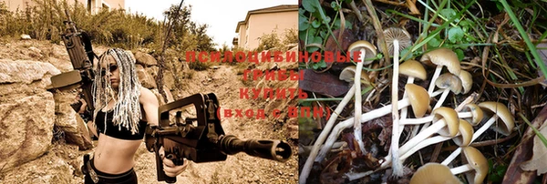 ешки Абдулино