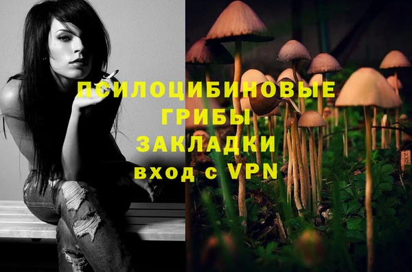 индика Алзамай