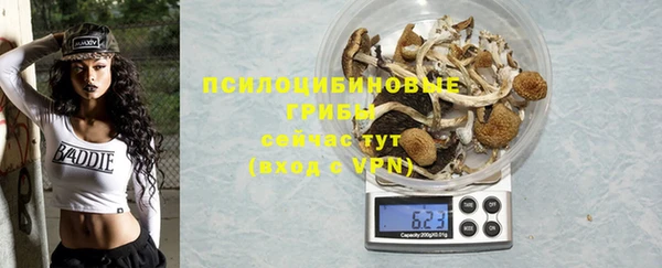 марки lsd Алексеевка